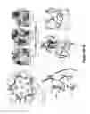 Fig. 07 - Compositions and methods for diagnosing, preventing and treating and infection