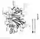 Fig. 19 - Compositions and methods for diagnosing, preventing and treating and infection