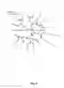 Fig. 09 - JOHNSON GRASS ALLERGENIC POLLEN PROTEINS, ENCODING NUCLEIC ACIDS AND METHODS OF USE
