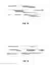 Fig. 14 - JOHNSON GRASS ALLERGENIC POLLEN PROTEINS, ENCODING NUCLEIC ACIDS AND METHODS OF USE