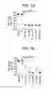 Fig. 02 - Vaccine Composition And Method Of Use