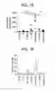 Fig. 04 - Vaccine Composition And Method Of Use