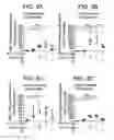 Fig. 06 - Vaccine Composition And Method Of Use
