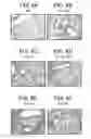 Fig. 09 - Vaccine Composition And Method Of Use