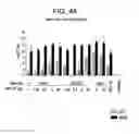 Fig. 44 - Vaccine Composition And Method Of Use
