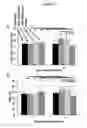 Fig. 03 - Carboxymethylcellulose-peptide conjugates and methods for using the same