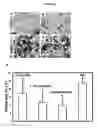 Fig. 07 - Carboxymethylcellulose-peptide conjugates and methods for using the same