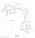 Fig. 03 - Multi-arm polymeric alkanoate conjugates