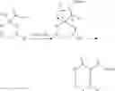 Fig. 20 - Polymeric alpha-hydroxy aldehyde and ketone reagents and conjugation method