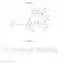 Fig. 07 - Prodrugs activated by caspase