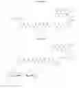 Fig. 09 - Prodrugs activated by caspase