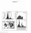 Fig. 03 - Vector(S) Containing an Inducible Gene Encoding a CDK4/CDK6 Inhibitor Useful for Treating Neurodegenerative Disorders or Diseases Associated with an Unscheduled Activation of the Cell Cycle