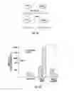 Fig. 07 - GENE THERAPY VECTOR FOR TREATMENT OF STEROID GLAUCOMA