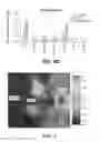 Fig. 10 - IR dyes for fluorescence imaging