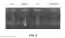 Fig. 12 - IR dyes for fluorescence imaging