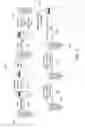 Fig. 03 - Microbubble tether for diagnostic and therapeutic applications
