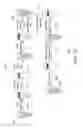 Fig. 14 - Microbubble tether for diagnostic and therapeutic applications