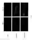 Fig. 13 - Compositions and Imaging Methods Comprising Detectably Labeled Phosphatidylethanolamine-Binding Peptides