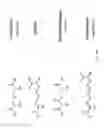 Fig. 25 - Compositions and Imaging Methods Comprising Detectably Labeled Phosphatidylethanolamine-Binding Peptides