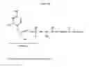 Fig. 26 - Compositions and Imaging Methods Comprising Detectably Labeled Phosphatidylethanolamine-Binding Peptides