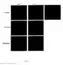 Fig. 30 - Compositions and Imaging Methods Comprising Detectably Labeled Phosphatidylethanolamine-Binding Peptides