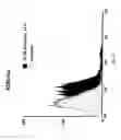 Fig. 46 - Compositions and Imaging Methods Comprising Detectably Labeled Phosphatidylethanolamine-Binding Peptides