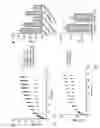 Fig. 06 - HER2 polypeptides useful for imaging and monitoring tumors and cancers