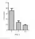 Fig. 08 - HER2 polypeptides useful for imaging and monitoring tumors and cancers