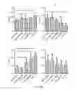Fig. 11 - HER2 polypeptides useful for imaging and monitoring tumors and cancers