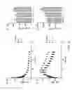 Fig. 12 - HER2 polypeptides useful for imaging and monitoring tumors and cancers
