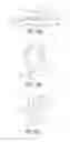 Fig. 18 - BIOACTIVE FILAMENTARY FIXATION DEVICE