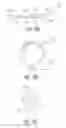 Fig. 19 - BIOACTIVE FILAMENTARY FIXATION DEVICE