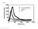 Fig. 07 - Nanocomposite hydrogels