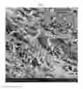 Fig. 02 - Biomimetic collagen-hydroxyapatite composite material