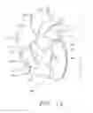 Fig. 10 - Biological Constructs for Treating Damaged Organs and Tissue