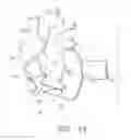 Fig. 12 - Biological Constructs for Treating Damaged Organs and Tissue