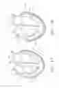 Fig. 15 - Biological Constructs for Treating Damaged Organs and Tissue