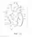 Fig. 10 - Biological Constructs for Treating Damaged Organs and Tissue