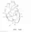 Fig. 14 - Biological Constructs for Treating Damaged Organs and Tissue
