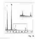 Fig. 13 - PEO coating on Mg screws
