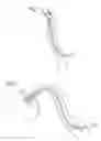 Fig. 02 - Pump or rotary cutter for operation in a fluid