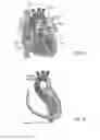 Fig. 02 - Electroactive actuators