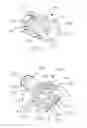 Fig. 03 - DEVICES, ASSEMBLIES, AND METHODS FOR CONTROLLING FLUID FLOW