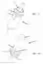 Fig. 08 - HYPODERMIC SYRINGE THAT AUTOMATICALLY EJECTS MEDICAMENT FROM A NEEDLE