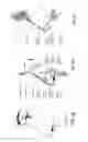 Fig. 09 - A PATIENT INTERFACE SYSTEM FOR TREATMENT OF RESPIRATORY DISORDERS