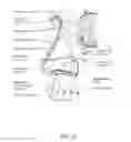 Fig. 11 - A PATIENT INTERFACE SYSTEM FOR TREATMENT OF RESPIRATORY DISORDERS