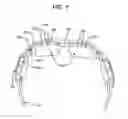 Fig. 02 - LIGHT THERAPY SYSTEM INCLUDING SPECTACLE FRAMES AND CONTACT LENSES