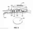 Fig. 07 - LIGHT THERAPY SYSTEM INCLUDING SPECTACLE FRAMES AND CONTACT LENSES