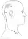 Fig. 01 - NEURAL BLOCKING THERAPY