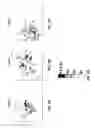 Fig. 10 - Electrode selection for electrical stimulation therapy